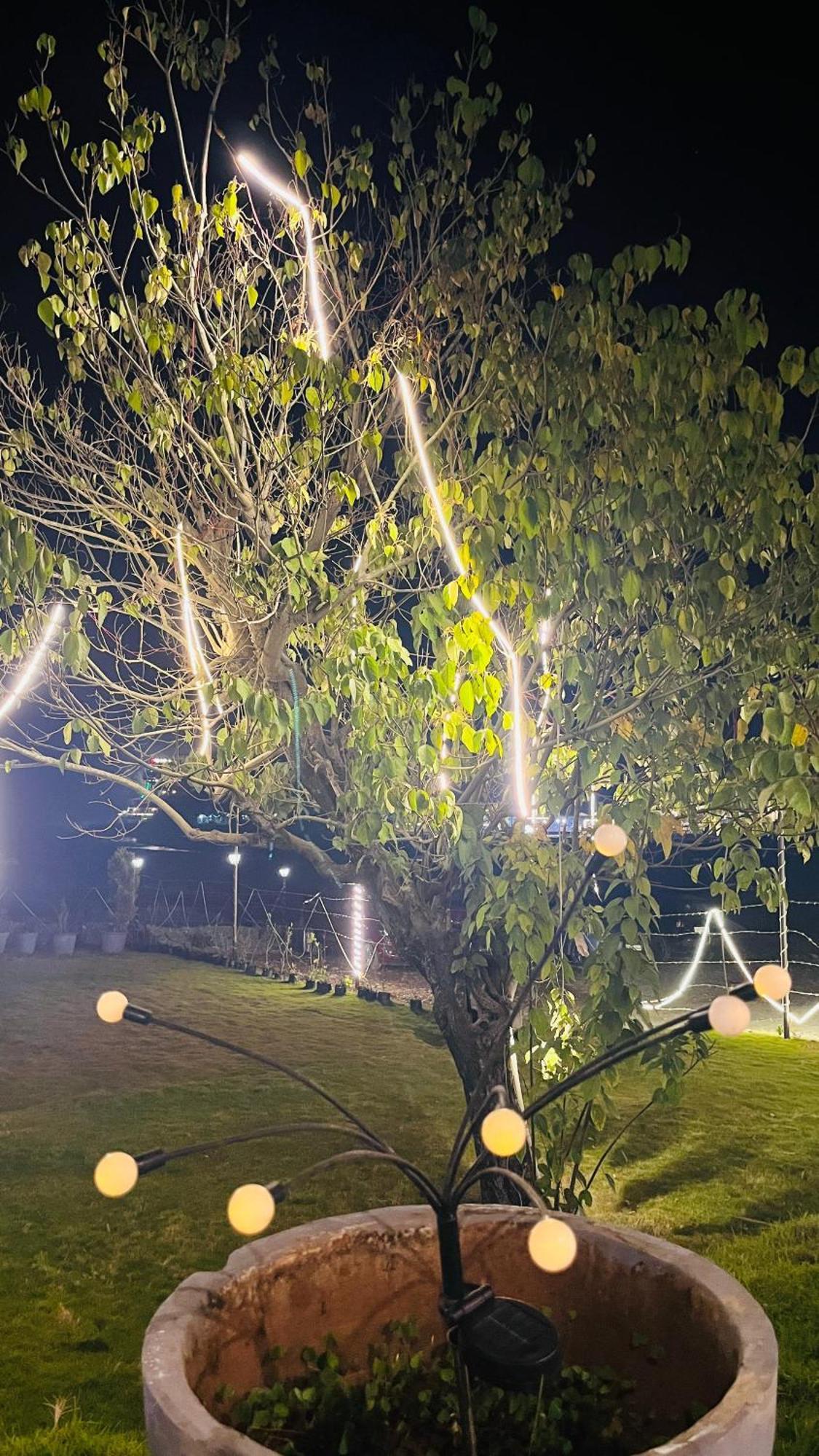 Aroma Resort Rishikesh Bagian luar foto